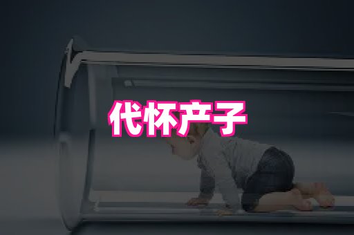 821孕网 1