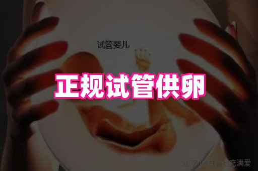 821孕网 2