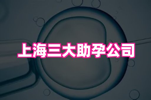821孕网 4